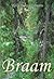 Braam