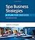 Spa Business Strategies: A Plan for Success