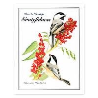 How To Develop Gratefulness (Unknown Binding)