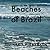 Beaches of Brazil