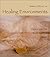 Healing Environments Design for the Body, Mind & Spirit by Barbara J. Huelat (2003-06-03)