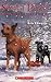 Santa Paws and the Christmas Storm by Kris Edwards