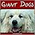 Giant Dogs (I Like Animals ...