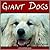 Giant Dogs by Molly Williams