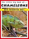 The Little BIG Book of Chameleons - Fun, Facts, Photos AND an Interactive Quiz