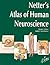 Netter's Atlas of Human Neuroscience