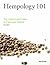 Hempology 101 by Ted Smith
