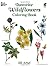 Favorite Wildflowers Coloring Book (Dover Nature Coloring Book)