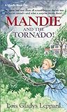 Mandie and the Tornado! (Mandie, #34)