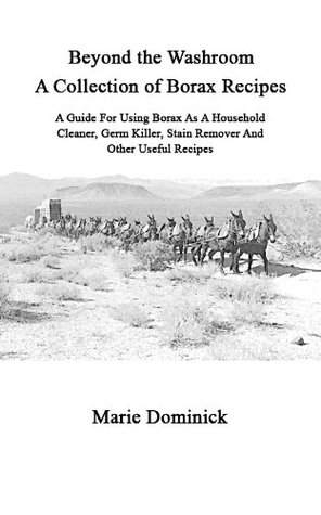 What is Borax? How to Clean Green on a Budget (Kindle Edition)