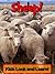 Sheep! Learn About Sheep and Enjoy Colorful Pictures - Look and Learn! (50+ Photos of Sheep)