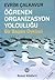 Öğrenen Organizasyon Yolculuğu