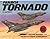 Panavia Tornado in Action -...