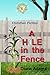 A Hole in the Fence by Diane Lil Adams