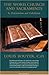 The Word, Church and Sacraments: In Protestantism and Catholicism