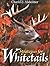 Strategies for Whitetails