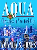 Aqua - Christmas in New York City