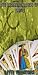 The Beginning Basic of Tarot