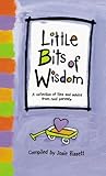 Little Bits of Wisdom : A Collection of Tips and Advice from Real Parents