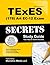 TExES (178) Art EC-12 Exam Secrets Study Guide: TExES Test Review for the Texas Examinations of Educator Standards