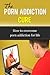 The Porn Addiction Cure - How To Overcome Porn Addiction For Life (Addiction Recovery, Addiction,)