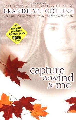 Capture the Wind for Me (Bradleyville Series, #3)