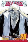 Bleach, Vol. 20: ...