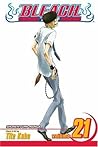 Bleach, Vol. 21 by Tite Kubo