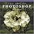 The Art of Photoshop