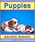 Puppies: A Collection of Cute Puppy Photos (Adorable Animals)