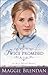 Twice Promised (The Blue Willow Brides, #2)