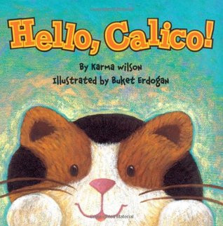 Hello, Calico! (Board Book)