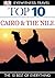 Top 10 Cairo & The Nile (Eyewitness Travel)