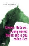 Eleanor McGraw, a Pony Named Mouse and a Boy Called Fire (Hawthorne Horses, #1)