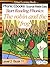 Start Reading Phonics 2.11 (ng) The robin and the frog (Childrens Learning To Read Picture Book)