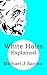 White Holes Explained (But what's it all mean, Albert?)