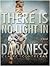 There is No Light in Darkne...