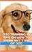 Dog Training: 15 Tips On Ho...