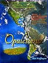 Opalescence: The Middle Miocene Play of Color