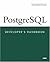 Postgresql: Developer's Handbook