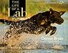 The Life of a Lab