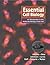 Essential Cell Biology by Bruce Alberts