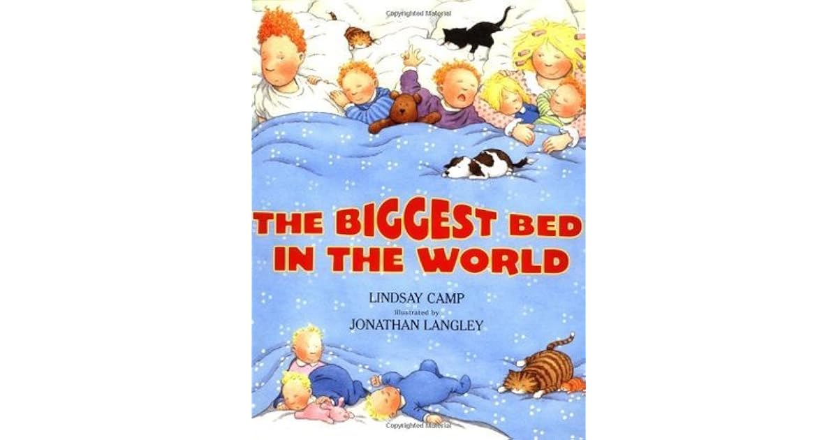 The Biggest Bed in the World by Lindsay Camp