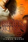 Book cover for Broken Wings (Hidden Wings, #2)