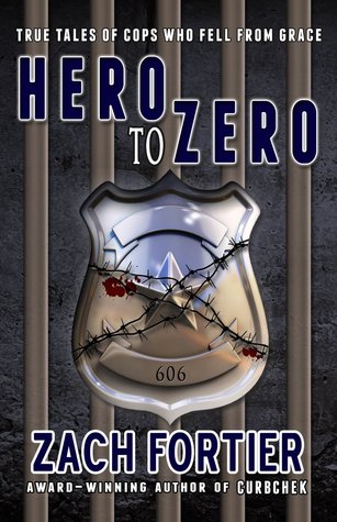 Hero to Zero (Kindle Edition)