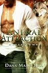 Animal Attraction
