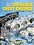 How to Rebuild Big-Block Chevy Engines, 1991-2000 Gen V & Gen... by Mike Mavrigian