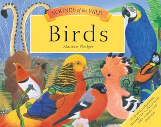 Sounds of the Wild: Birds (Paperback)