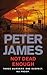 Not Dead Enough (Roy Grace series Book 3)