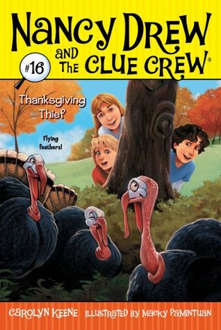 Thanksgiving Thief (Nancy Drew and the Clue Crew, #16)